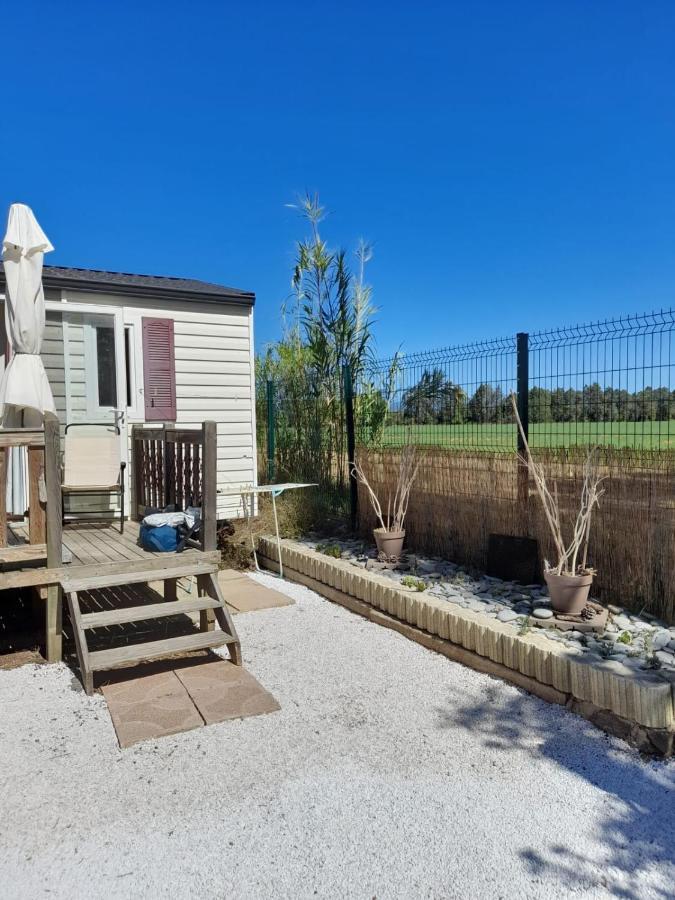 Spacious With Furnished Terrace
